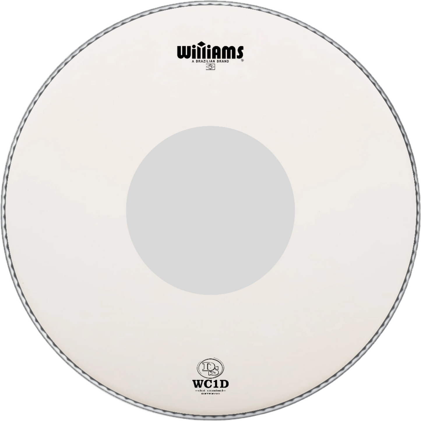 Williams 13" SP Coated DS Inverted Dot Drumhead (dsWC1D-10MIL-13)