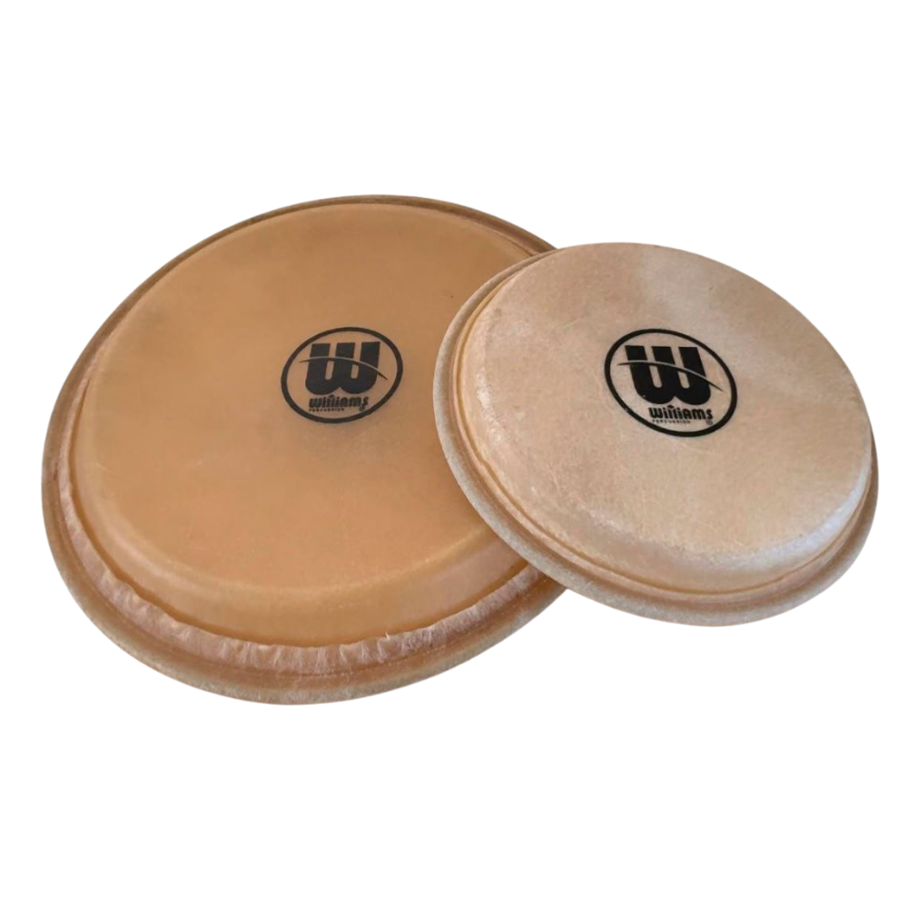 Williams Percussion Conga Heads - Bullskin 12.5"