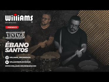 Williams Single Ply Vintage Tone Series (WVT-11MIL)